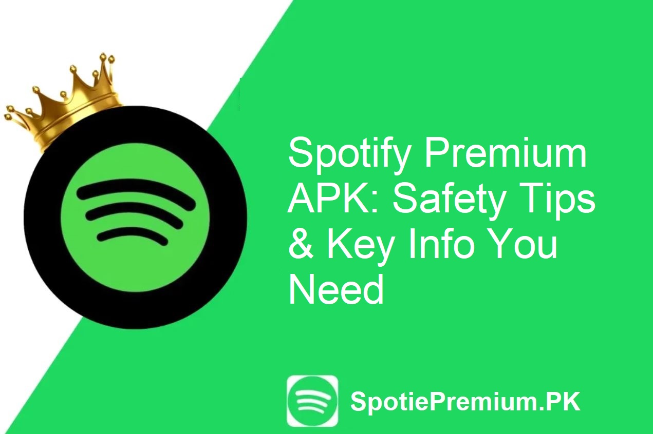 Spotify Premium APK Guide